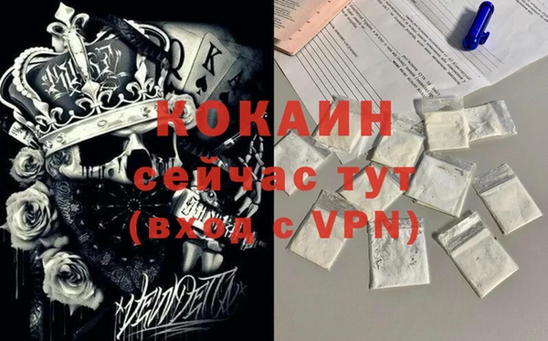 кокс Корсаков