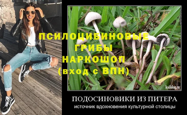дмт Козельск